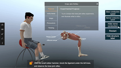 Secondary & Pre –University